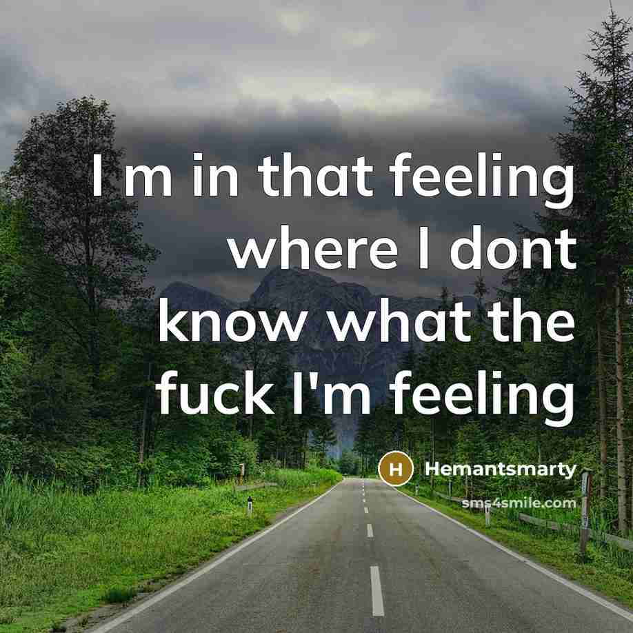 “I m in that feeling where I dont know what the fuck I'm feeling” quote by Hemantsmarty