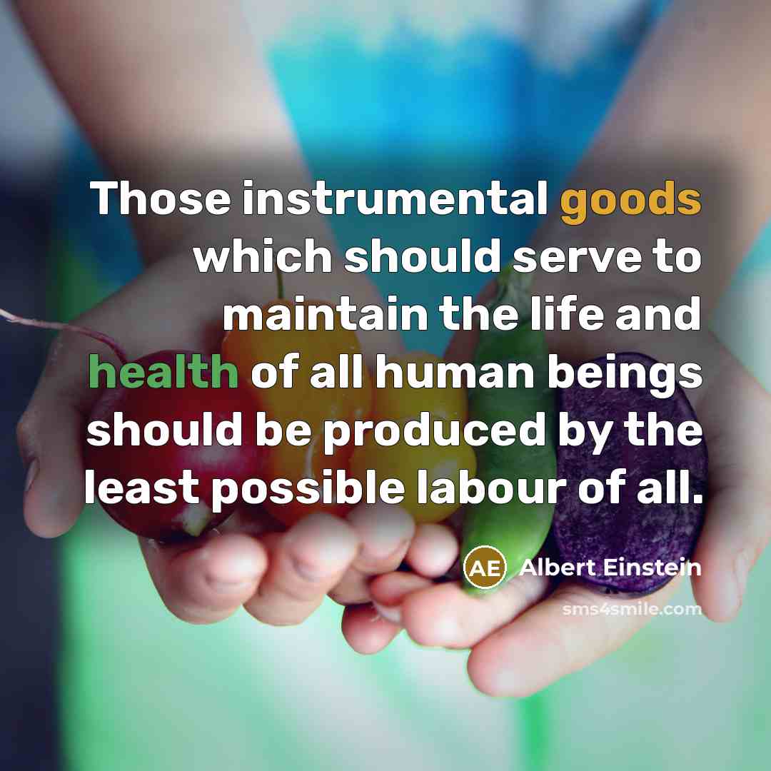 “Those instrumental goods which should serve to maintain the life and health of all human beings should be produced by the least possible labour of all.” quote by Albert Einstein