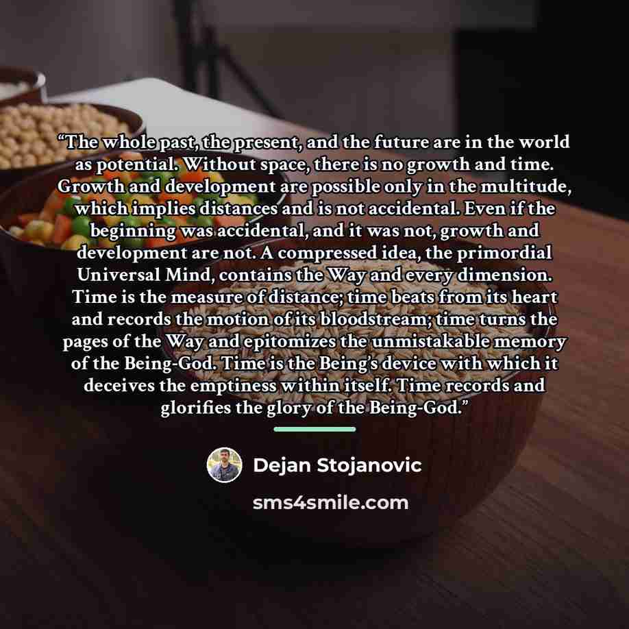 “The whole past, the present, and the future are in the world as potential. Without space, there is no growth and time. Growth and development are possible only in the multitude, which implies distances and is not accidental. Even if the beginning was accidental, and it was not, growth and…” quote by Dejan Stojanovic