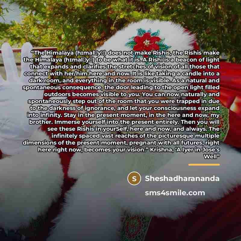 “The Himalaya (hɪmalɶyɶ) does not make Rishis, the Rishis make the Himalaya (hɪmalɶyɶ) to be what it is. A Rishi is a beacon of light that expands and clarifies the stretches of vision of all those that connect with her/him here and now. It is like taking a candle into a dark room, and everything…” quote by Sheshadharananda