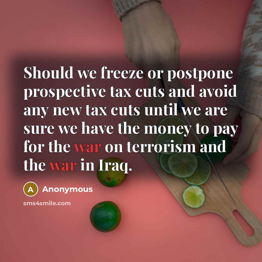 “Should we freeze or postpone prospective tax cuts and avoid any new tax cuts until we are sure we have the money to pay for the war on terrorism and the war in Iraq.” quote by Anonymous
