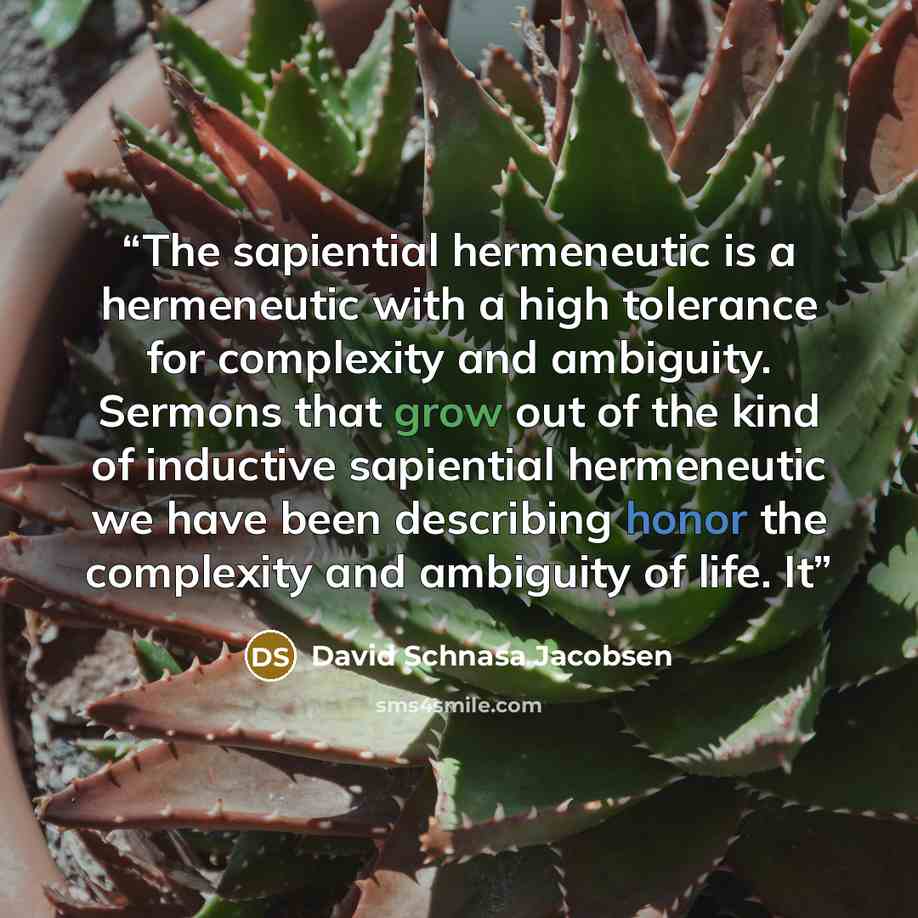 “The sapiential hermeneutic is a hermeneutic with a high tolerance for complexity and ambiguity. Sermons that grow out of the kind of inductive sapiential hermeneutic we have been describing honor the complexity and ambiguity of life. It” quote by David Schnasa Jacobsen