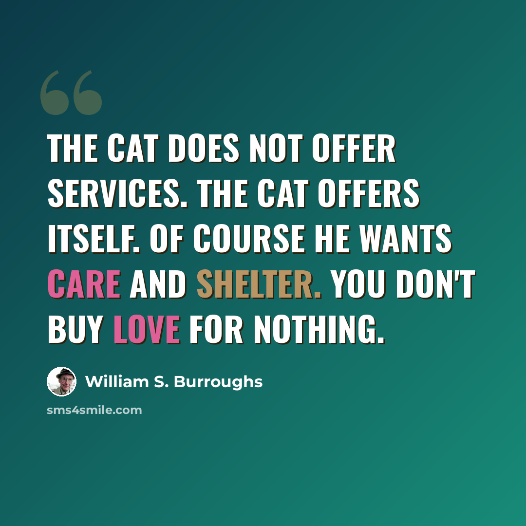 “The cat does not offer services. The cat offers itself. Of course he wants care and shelter. You don't buy love for nothing.” quote by William S. Burroughs