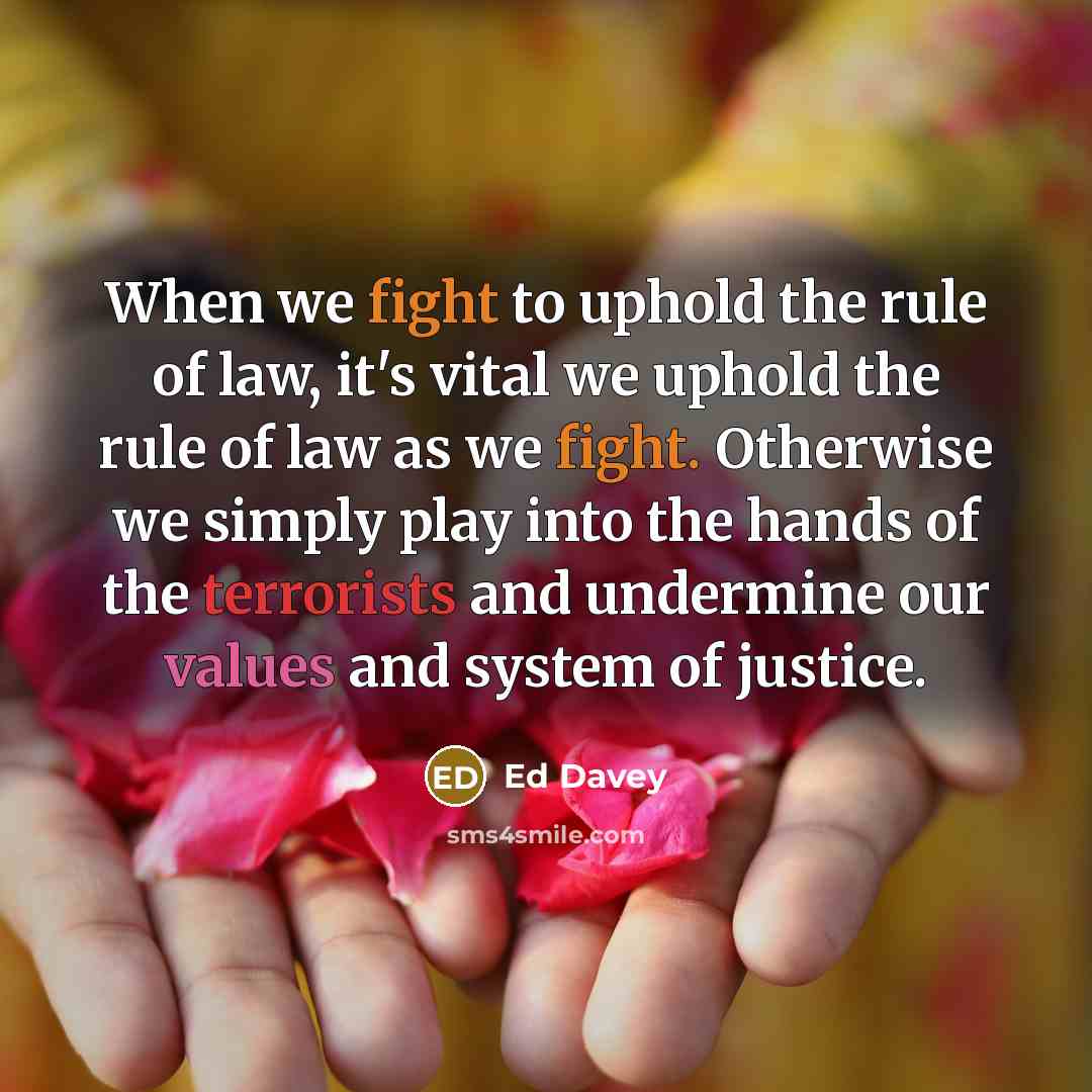 “When we fight to uphold the rule of law, it's vital we uphold the rule of law as we fight. Otherwise we simply play into the hands of the terrorists and undermine our values and system of justice.” quote by Ed Davey