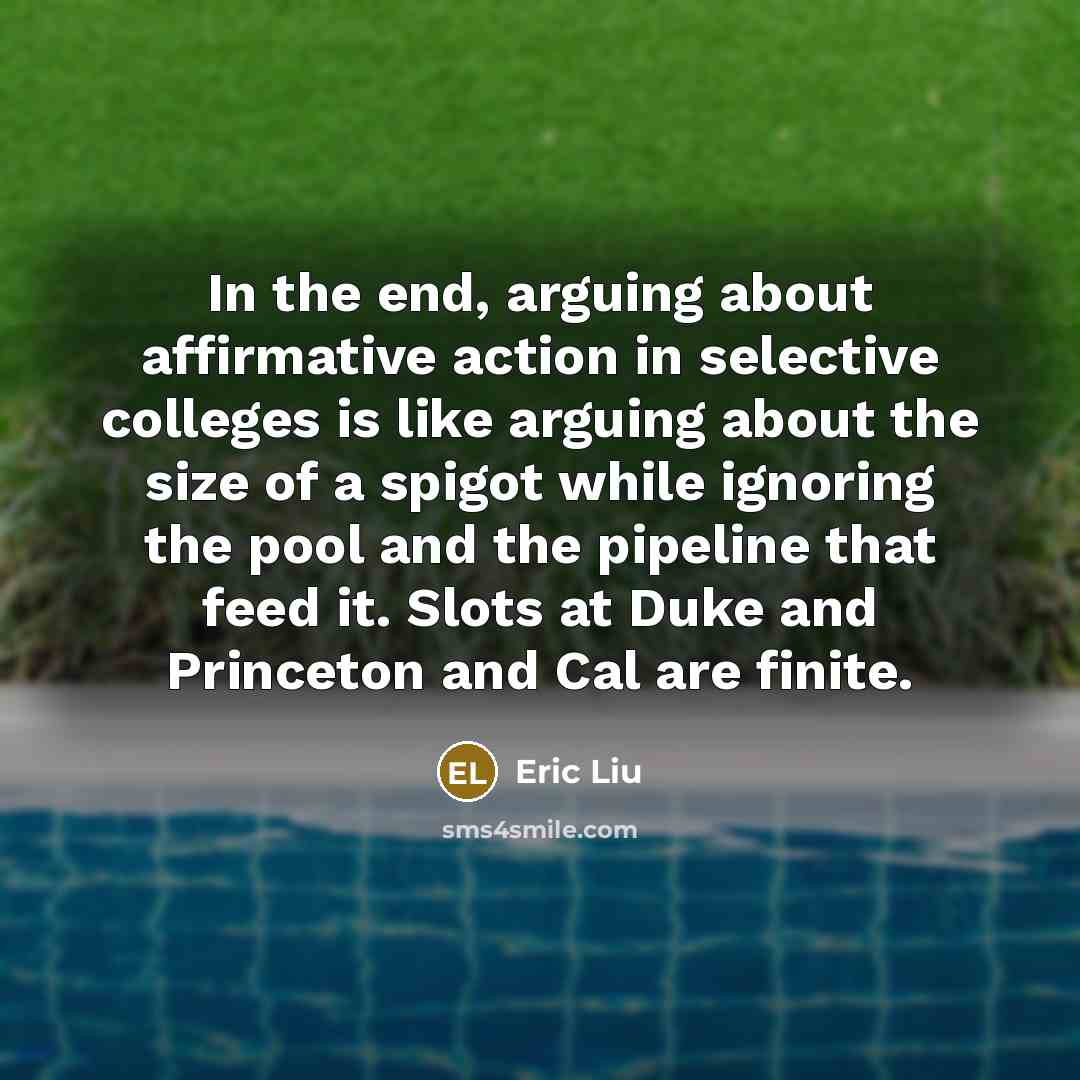 “In the end, arguing about affirmative action in selective colleges is like arguing about the size of a spigot while ignoring the pool and the pipeline that feed it. Slots at Duke and Princeton and Cal are finite.” quote by Eric Liu