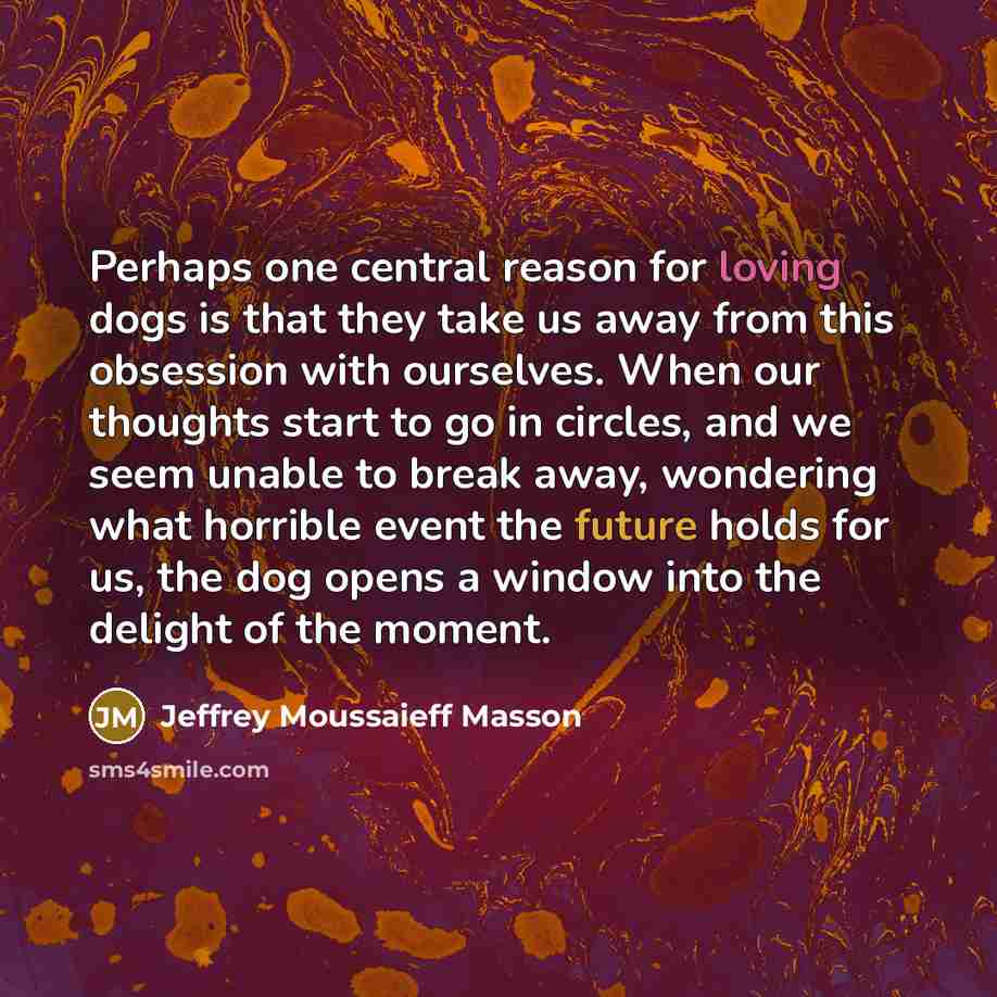“Perhaps one central reason for loving dogs is that they take us away from this obsession with ourselves. When our thoughts start to go in circles, and we seem unable to break away, wondering what horrible event the future holds for us, the dog opens a window into the delight of the moment.” quote by Jeffrey Moussaieff Masson