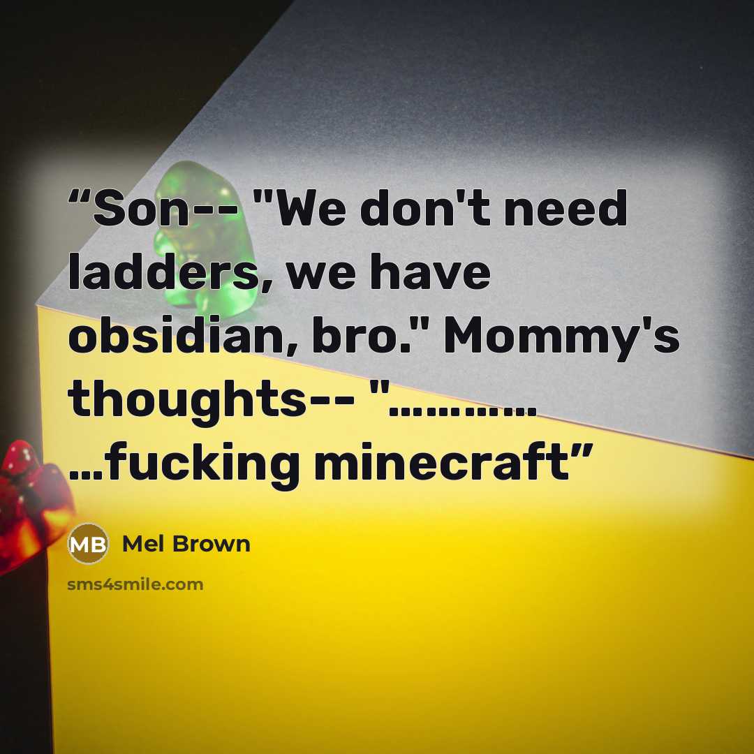 “Son-- "We don't need ladders, we have obsidian, bro." Mommy's thoughts-- "………… …fucking minecraft” quote by Mel Brown