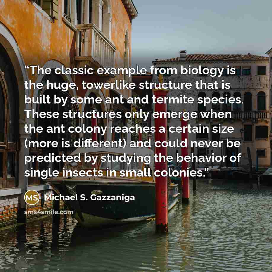 “The classic example from biology is the huge, towerlike structure that is built by some ant and termite species. These structures only emerge when the ant colony reaches a certain size (more is different) and could never be predicted by studying the behavior of single insects in small colonies.” quote by Michael S. Gazzaniga