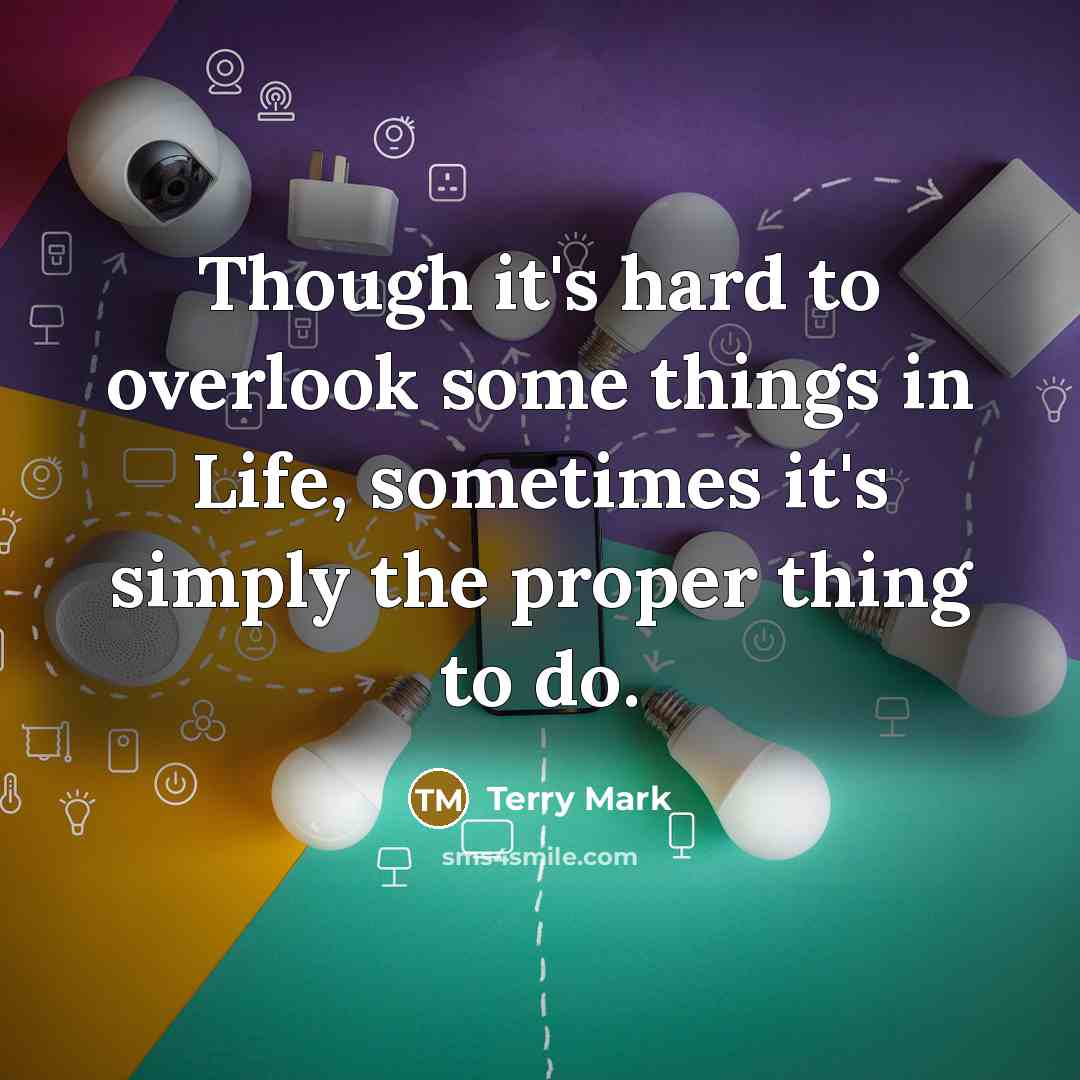 “Though it's hard to overlook some things in Life, sometimes it's simply the proper thing to do.” quote by Terry Mark