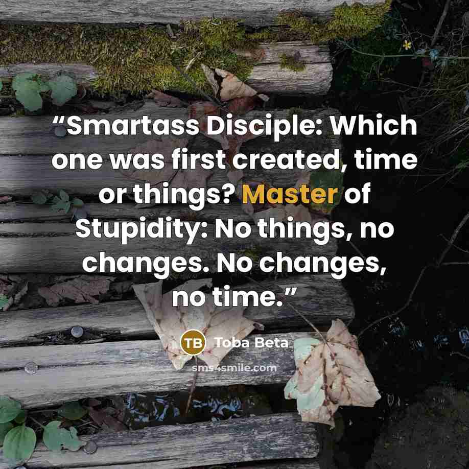 “Smartass Disciple: Which one was first created, time or things? Master of Stupidity: No things, no changes. No changes, no time.” quote by Toba Beta
