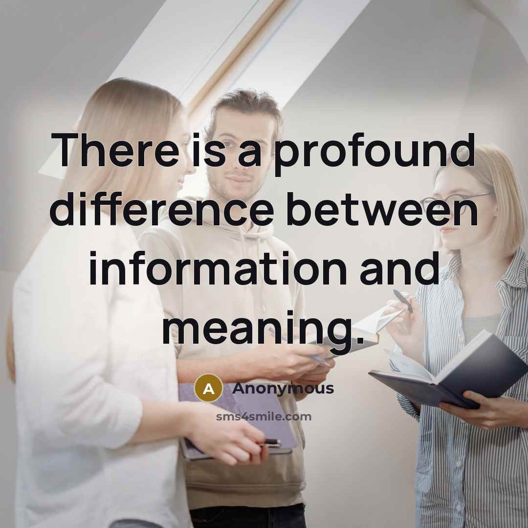 “There is a profound difference between information and meaning.” quote by Anonymous