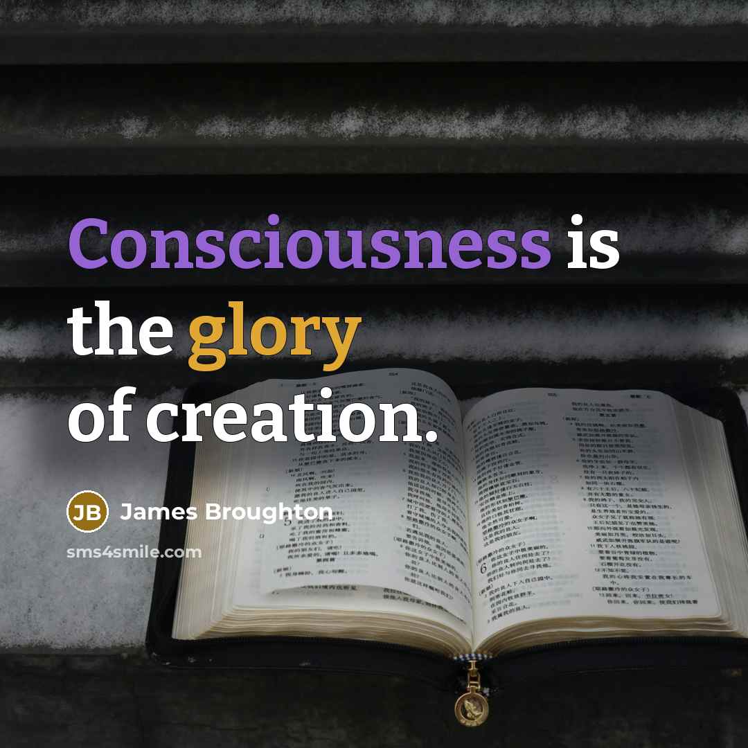 “Consciousness is the glory of creation.” quote by James Broughton