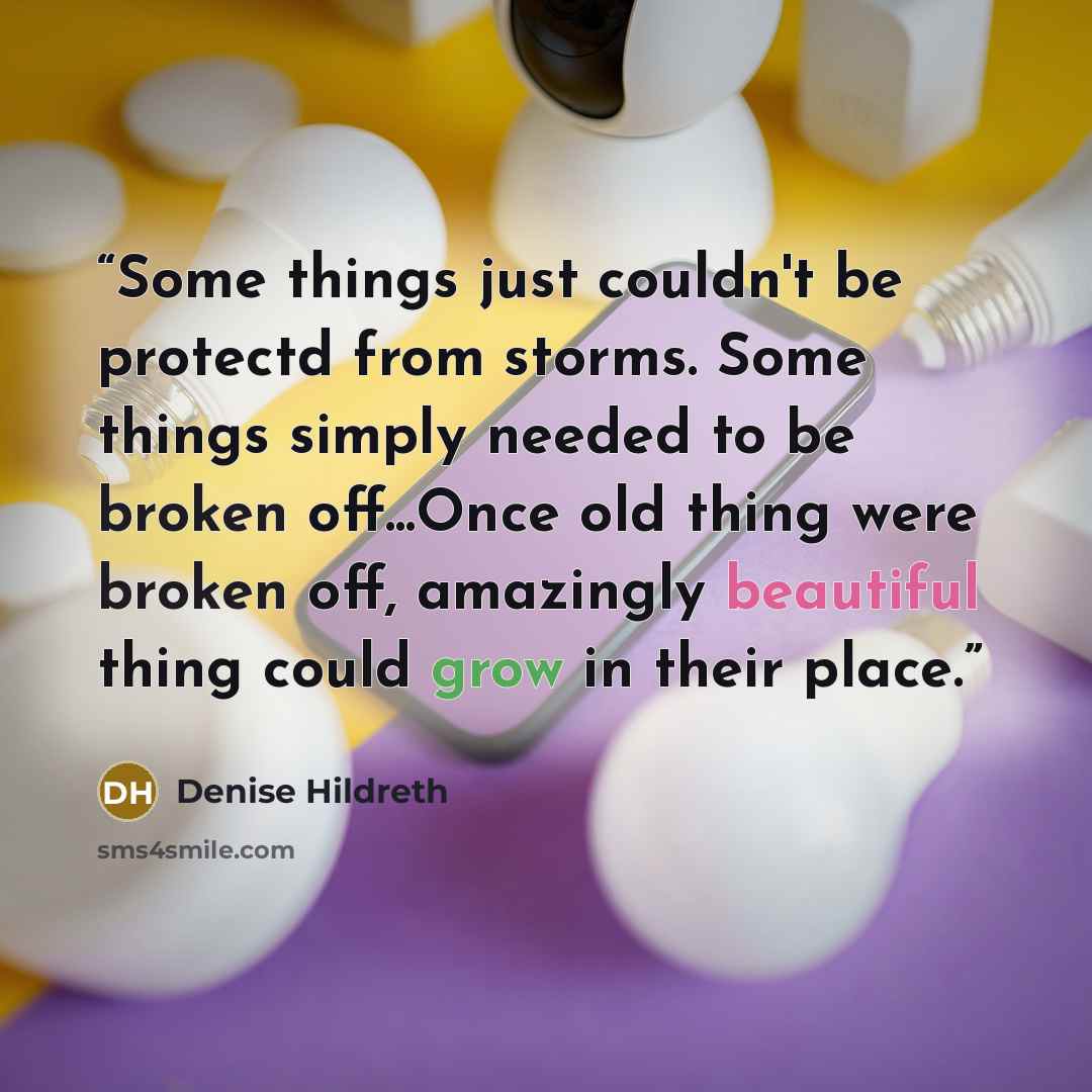 “Some things just couldn't be protectd from storms. Some things simply needed to be broken off...Once old thing were broken off, amazingly beautiful thing could grow in their place.” quote by Denise Hildreth