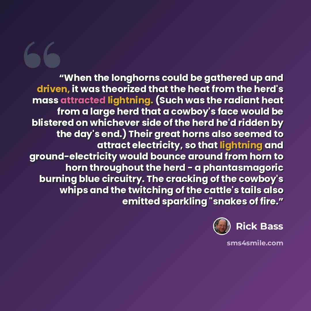 “When the longhorns could be gathered up and driven, it was theorized that the heat from the herd's mass attracted lightning. (Such was the radiant heat from a large herd that a cowboy's face would be blistered on whichever side of the herd he'd ridden by the day's end.) Their great horns also…” quote by Rick Bass