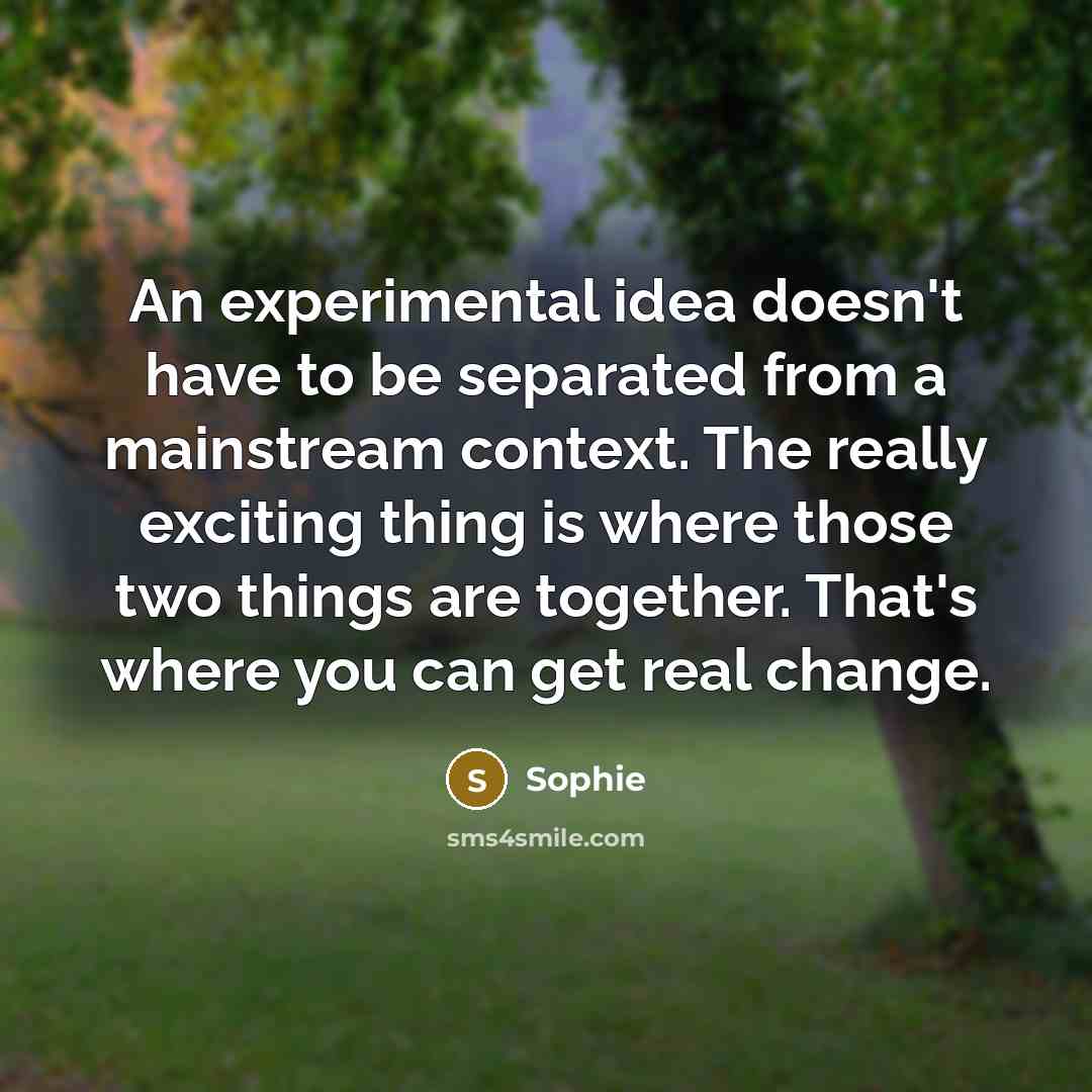 “An experimental idea doesn't have to be separated from a mainstream context. The really exciting thing is where those two things are together. That's where you can get real change.” quote by Sophie