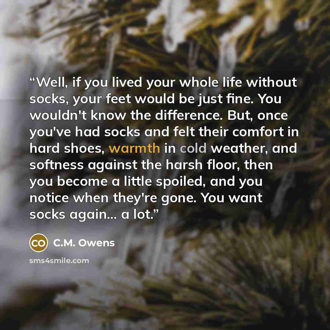 “Well, if you lived your whole life without socks, your feet would be just fine. You wouldn't know the difference. But, once you've had socks and felt their comfort in hard shoes, warmth in cold weather, and softness against the harsh floor, then you become a little spoiled, and you notice when…” quote by C.M. Owens