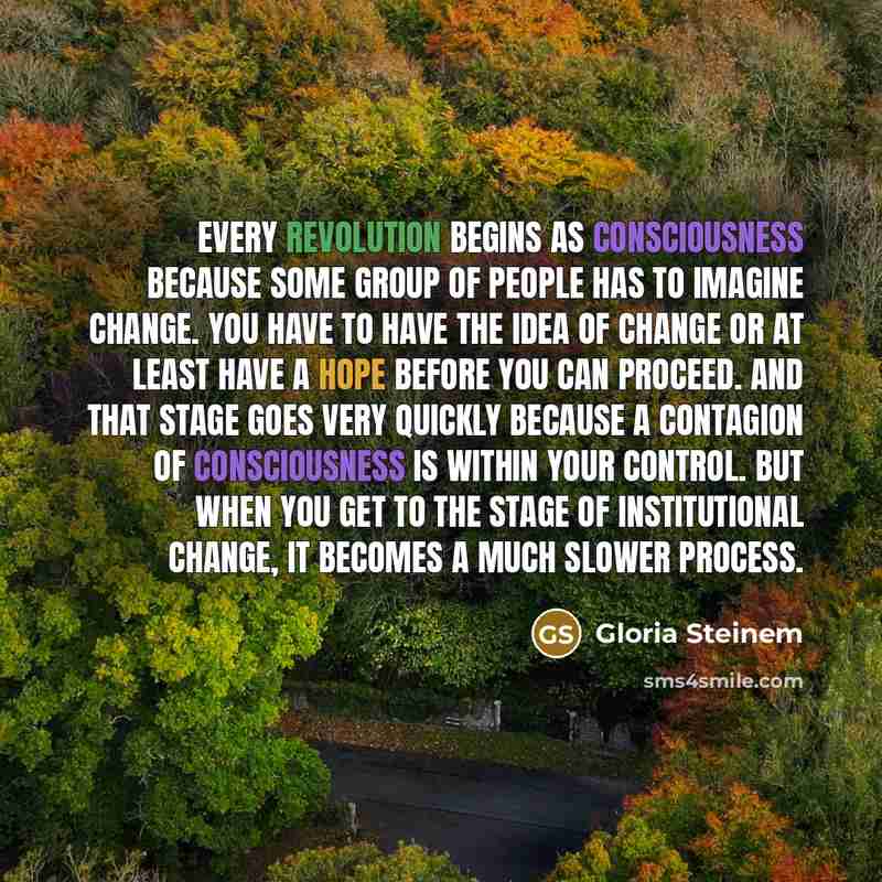 “Every revolution begins as consciousness because some group of people has to imagine change. You have to have the idea of change or at least have a hope before you can proceed. And that stage goes very quickly because a contagion of consciousness is within your control. But when you get to the…” quote by Gloria Steinem