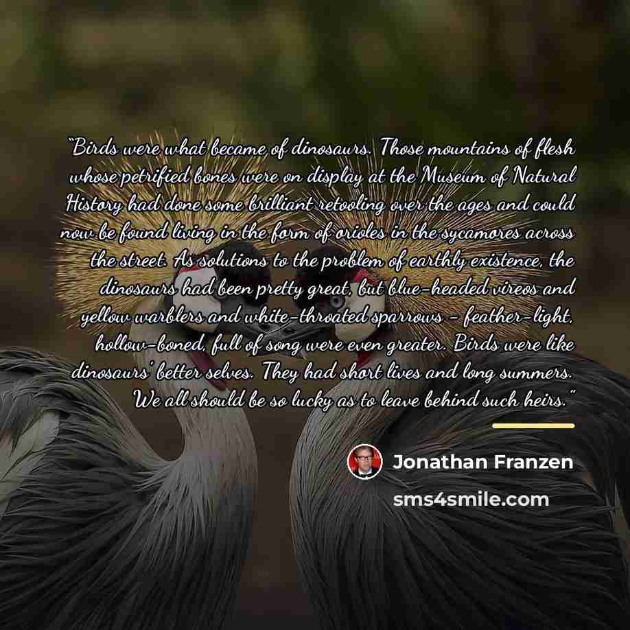 “Birds were what became of dinosaurs. Those mountains of flesh whose petrified bones were on display at the Museum of Natural History had done some brilliant retooling over the ages and could now be found living in the form of orioles in the sycamores across the street. As solutions to the problem…” quote by Jonathan Franzen
