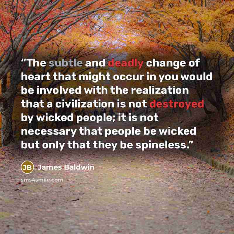 “The subtle and deadly change of heart that might occur in you would be involved with the realization that a civilization is not destroyed by wicked people; it is not necessary that people be wicked but only that they be spineless.” quote by James Baldwin