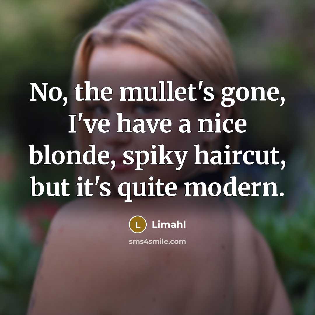 “No, the mullet's gone, I've have a nice blonde, spiky haircut, but it's quite modern.” quote by Limahl