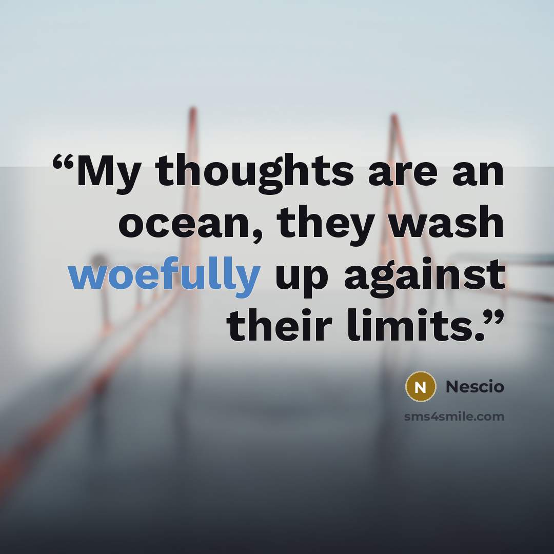 “My thoughts are an ocean, they wash woefully up against their limits.” quote by Nescio
