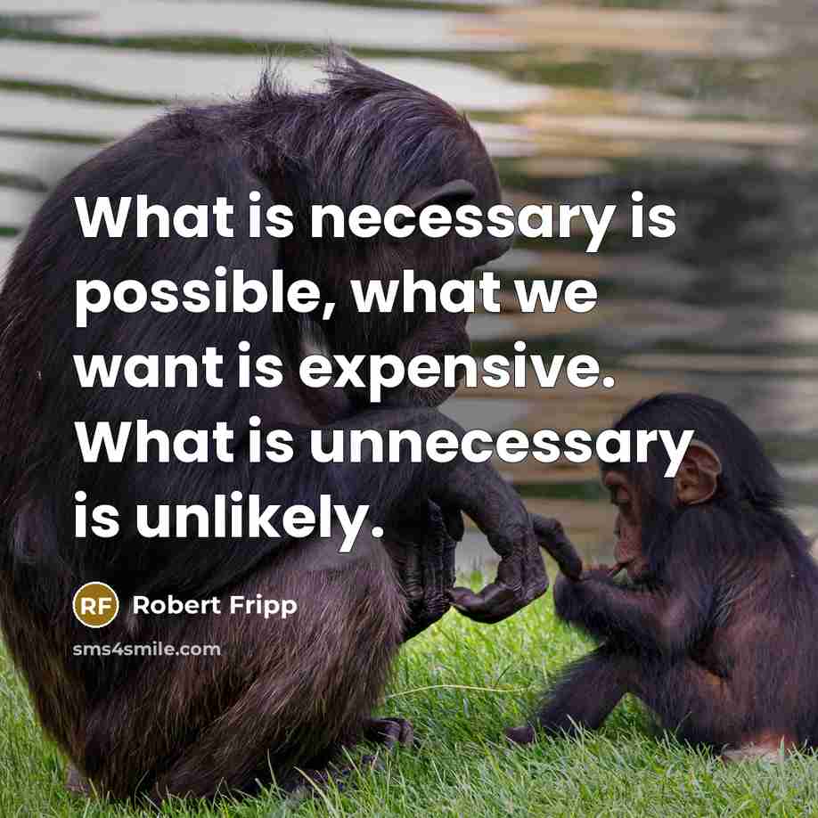 “What is necessary is possible, what we want is expensive. What is unnecessary is unlikely.” quote by Robert Fripp