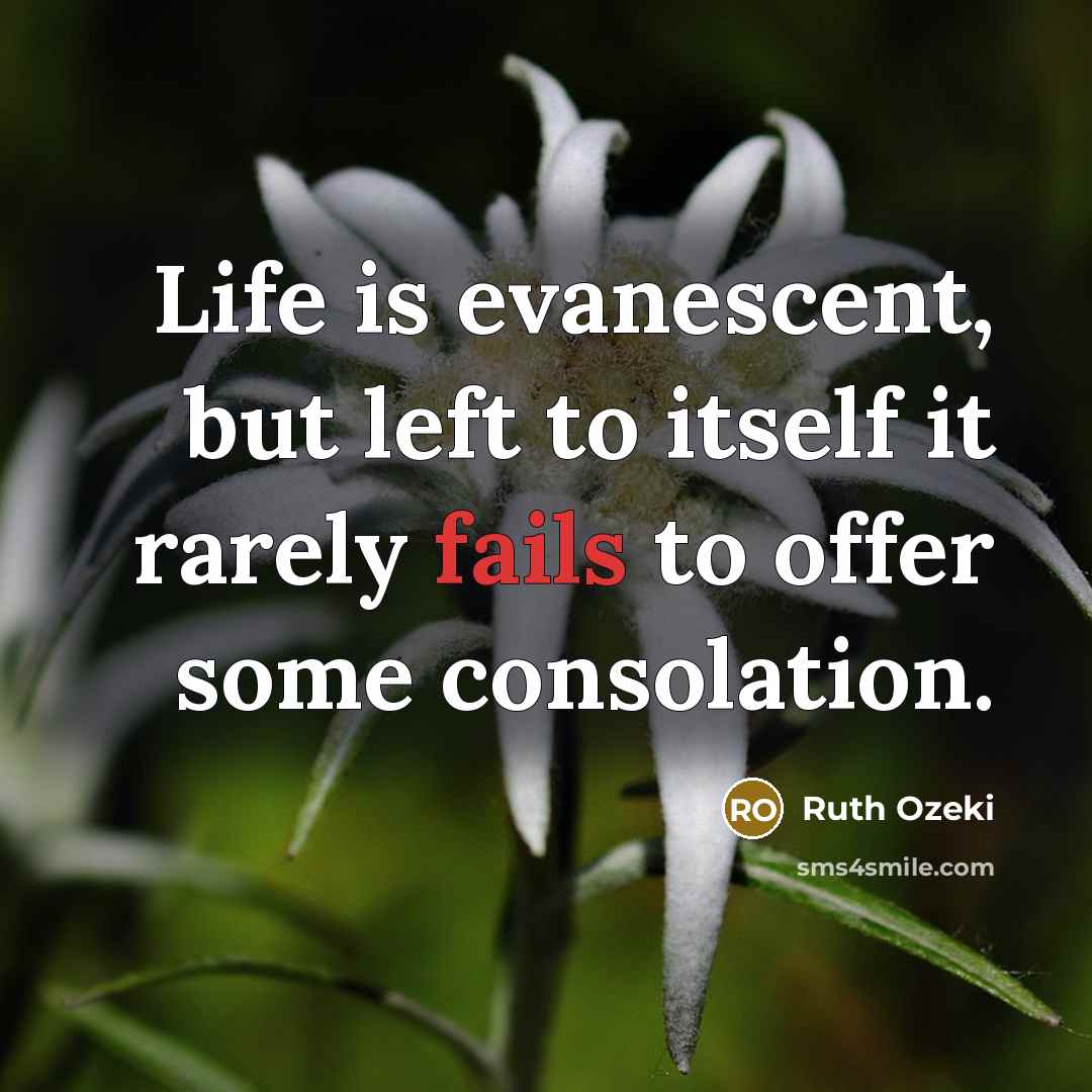 “Life is evanescent, but left to itself it rarely fails to offer some consolation.” quote by Ruth Ozeki
