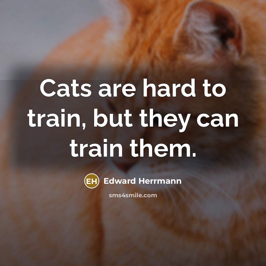 “Cats are hard to train, but they can train them.” quote by Edward Herrmann