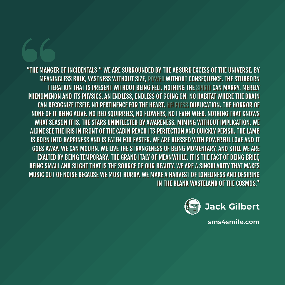 “The Manger of Incidentals " We are surrounded by the absurd excess of the universe. By meaningless bulk, vastness without size, power without consequence. The stubborn iteration that is present without being felt. Nothing the spirit can marry. Merely phenomenon and its physics. An endless, endless…” quote by Jack Gilbert