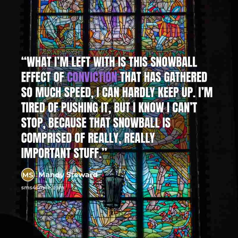 “What I’m left with is this snowball effect of conviction that has gathered so much speed, I can hardly keep up. I’m tired of pushing it, but I know I can’t stop, because that snowball is comprised of really, really important stuff.” quote by Mandy Steward
