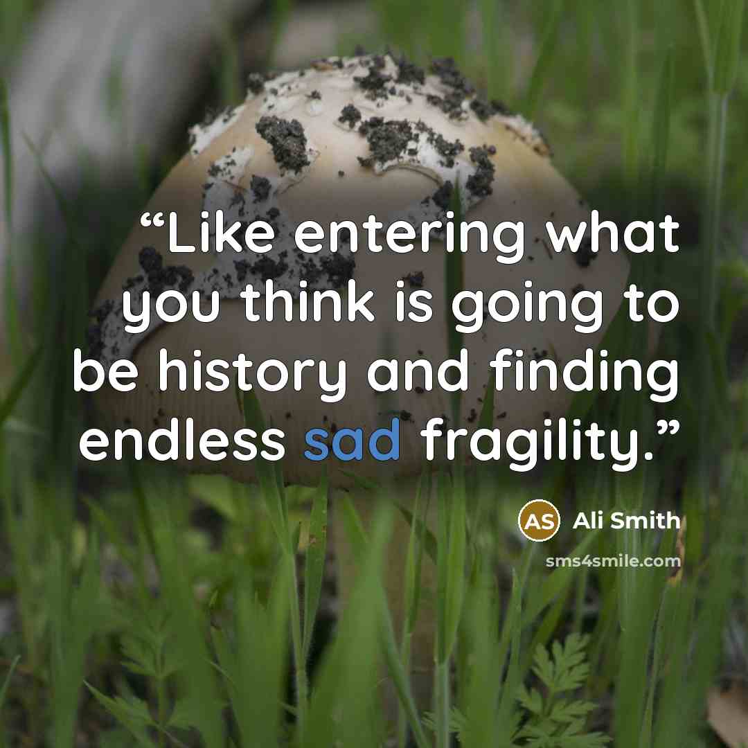 “Like entering what you think is going to be history and finding endless sad fragility.” quote by Ali Smith