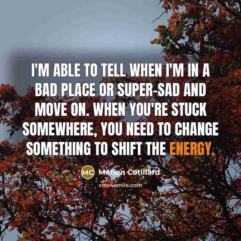 “I'm able to tell when I'm in a bad place or super-sad and move on. When you're stuck somewhere, you need to change something to shift the energy.” quote by Marion Cotillard