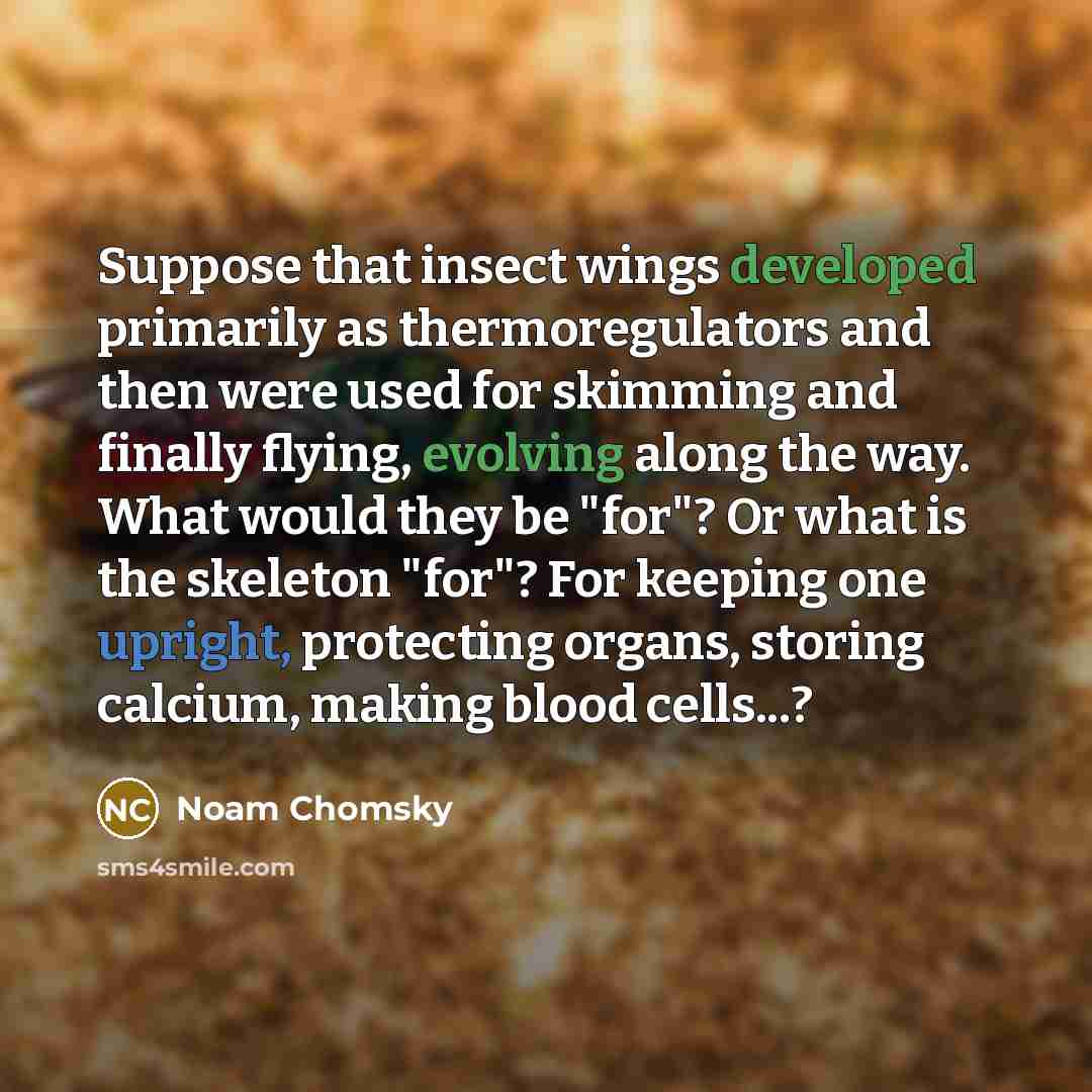 “Suppose that insect wings developed primarily as thermoregulators and then were used for skimming and finally flying, evolving along the way. What would they be "for"? Or what is the skeleton "for"? For keeping one upright, protecting organs, storing calcium, making blood cells...?” quote by Noam Chomsky