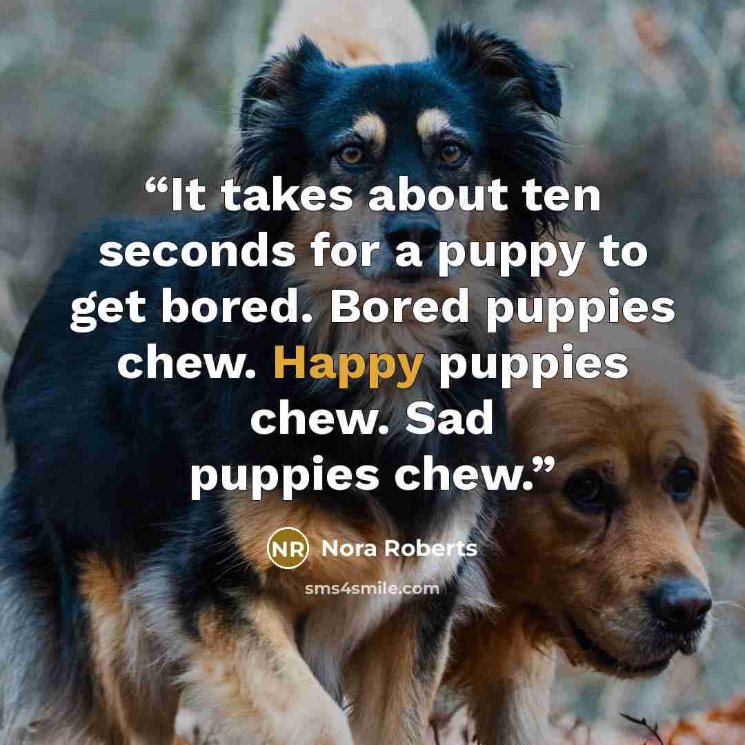 “It takes about ten seconds for a puppy to get bored. Bored puppies chew. Happy puppies chew. Sad puppies chew.” quote by Nora Roberts