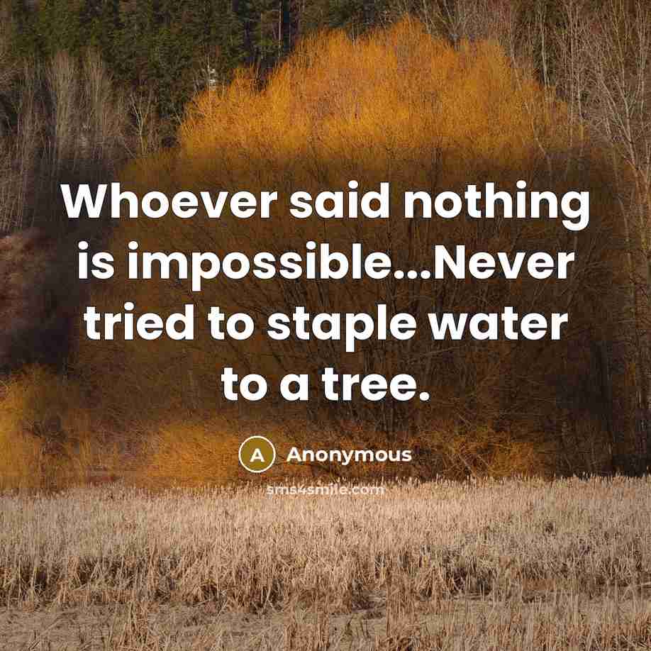 “Whoever said nothing is impossible...Never tried to staple water to a tree.” quote by Anonymous
