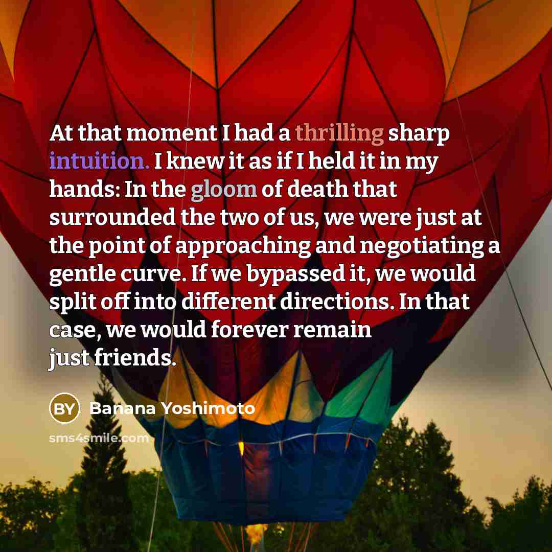 “At that moment I had a thrilling sharp intuition. I knew it as if I held it in my hands: In the gloom of death that surrounded the two of us, we were just at the point of approaching and negotiating a gentle curve. If we bypassed it, we would split off into different directions. In that case, we…” quote by Banana Yoshimoto