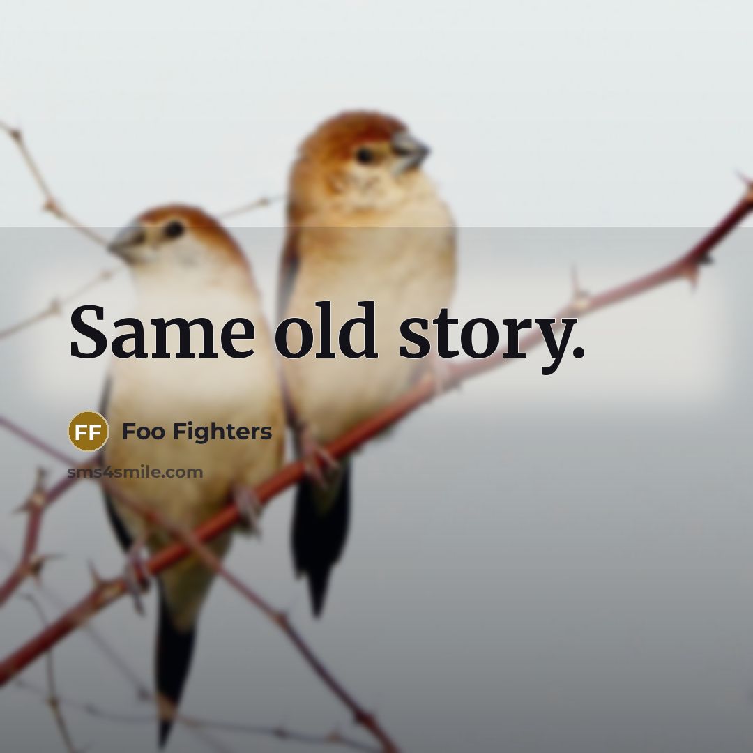 “Same old story.” quote by Foo Fighters