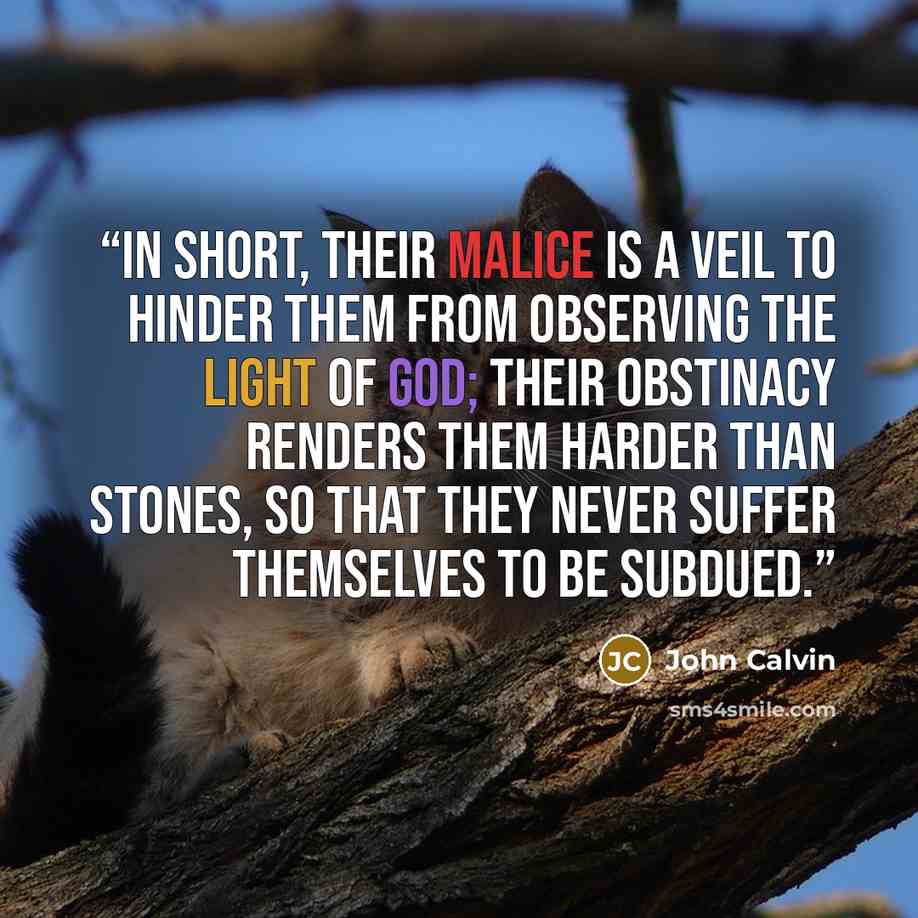 “In short, their malice is a veil to hinder them from observing the light of God; their obstinacy renders them harder than stones, so that they never suffer themselves to be subdued.” quote by John Calvin