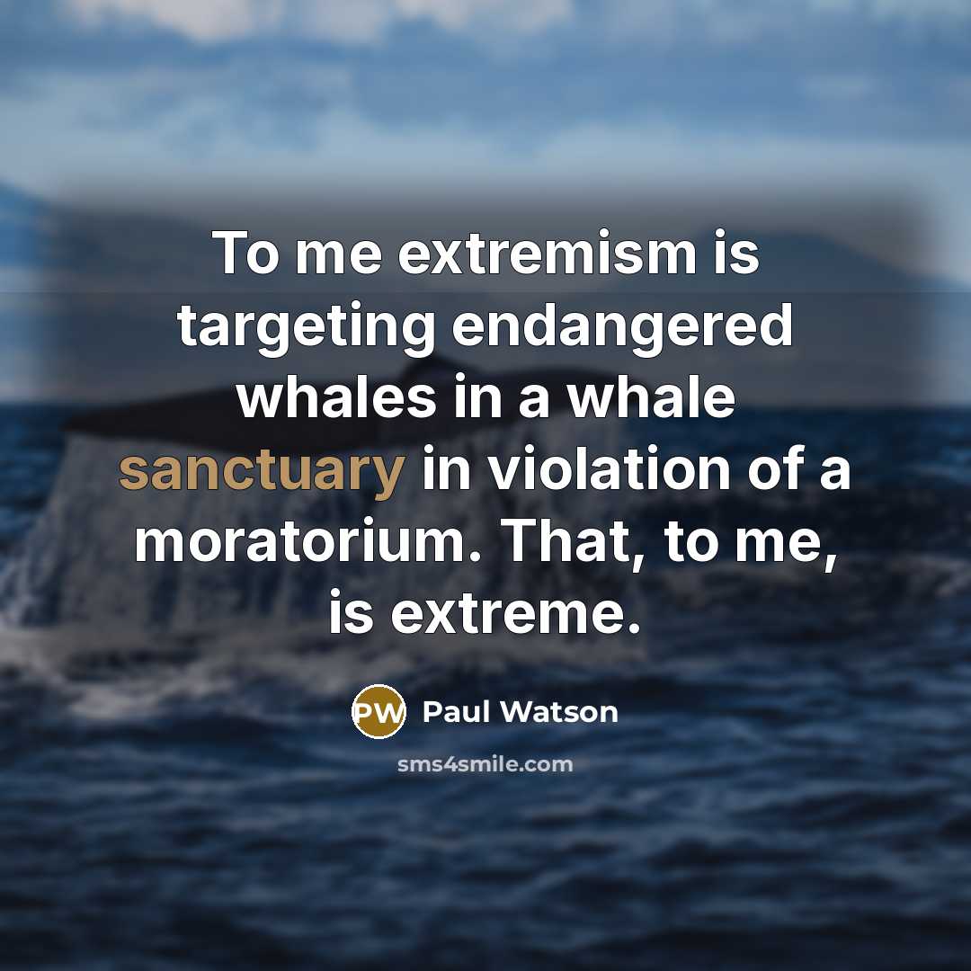 “To me extremism is targeting endangered whales in a whale sanctuary in violation of a moratorium. That, to me, is extreme.” quote by Paul Watson