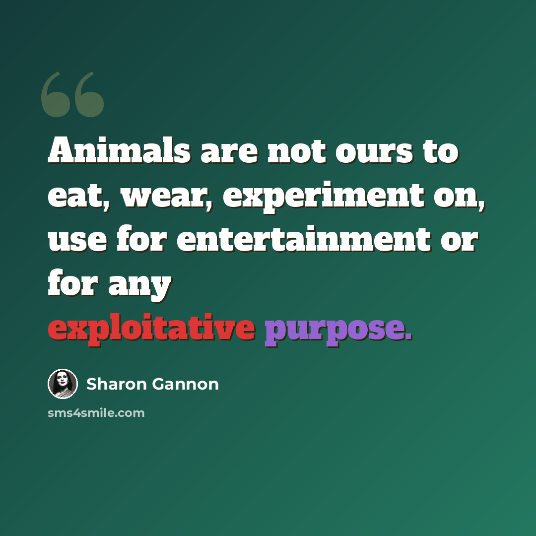“Animals are not ours to eat, wear, experiment on, use for entertainment or for any exploitative purpose.” quote by Sharon Gannon