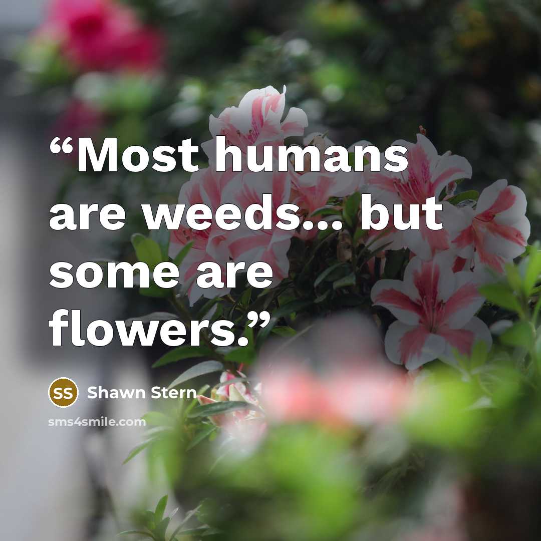 “Most humans are weeds... but some are flowers.” quote by Shawn Stern