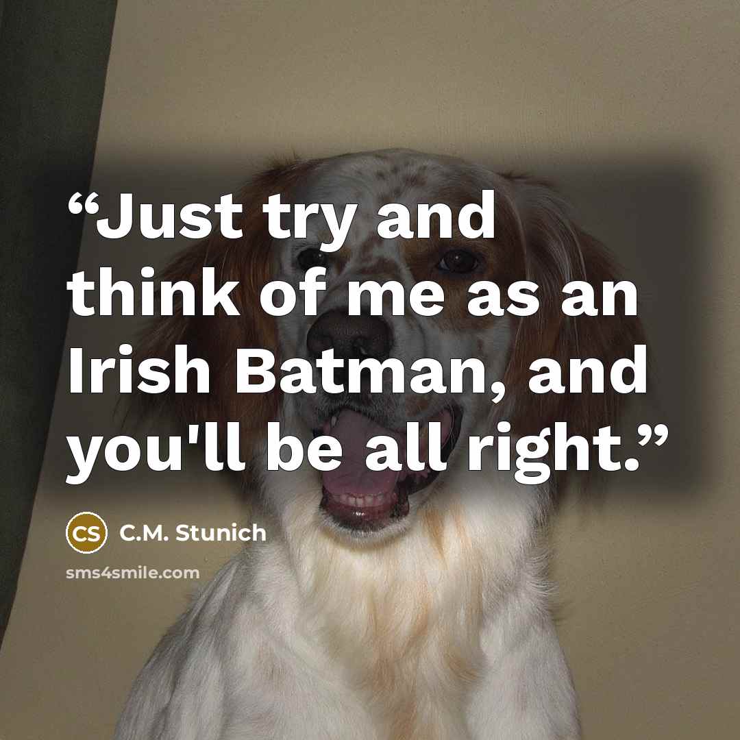 “Just try and think of me as an Irish Batman, and you'll be all right.” quote by C.M. Stunich