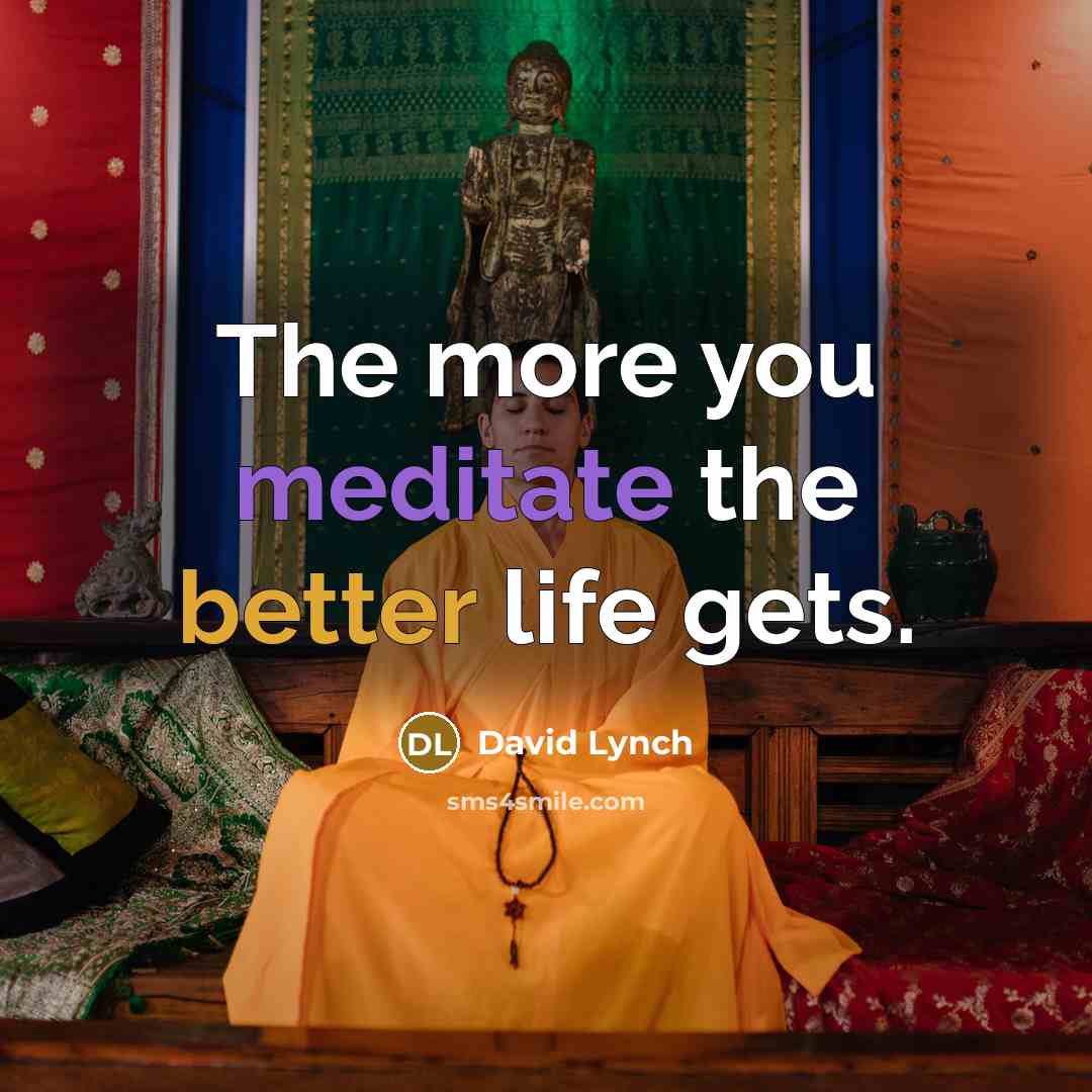 “The more you meditate the better life gets.” quote by David Lynch