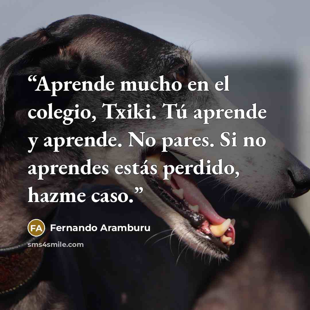 “Aprende mucho en el colegio, Txiki. Tú aprende y aprende. No pares. Si no aprendes estás perdido, hazme caso.” quote by Fernando Aramburu