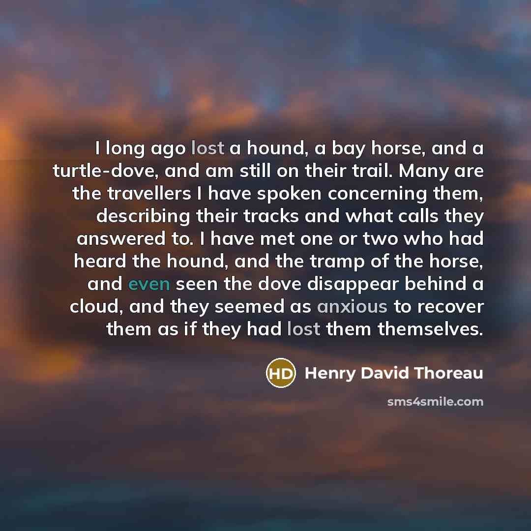 “I long ago lost a hound, a bay horse, and a turtle-dove, and am still on their trail. Many are the travellers I have spoken concerning them, describing their tracks and what calls they answered to. I have met one or two who had heard the hound, and the tramp of the horse, and even seen the dove…” quote by Henry David Thoreau