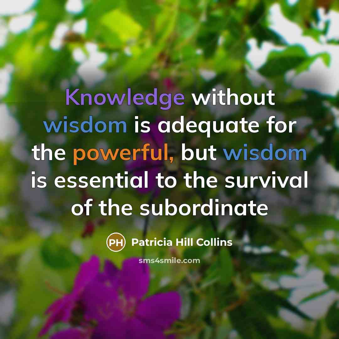 “Knowledge without wisdom is adequate for the powerful, but wisdom is essential to the survival of the subordinate” quote by Patricia Hill Collins