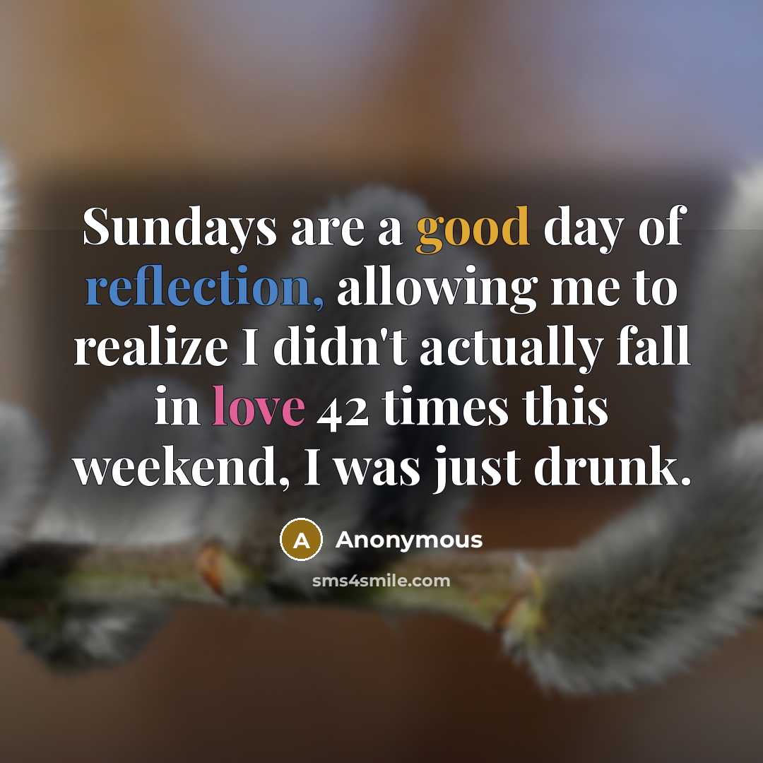 “Sundays are a good day of reflection, allowing me to realize I didn't actually fall in love 42 times this weekend, I was just drunk.” quote by Anonymous