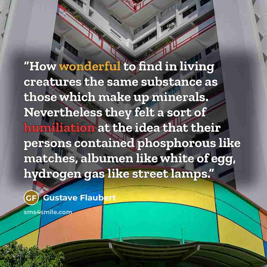 “How wonderful to find in living creatures the same substance as those which make up minerals. Nevertheless they felt a sort of humiliation at the idea that their persons contained phosphorous like matches, albumen like white of egg, hydrogen gas like street lamps.” quote by Gustave Flaubert