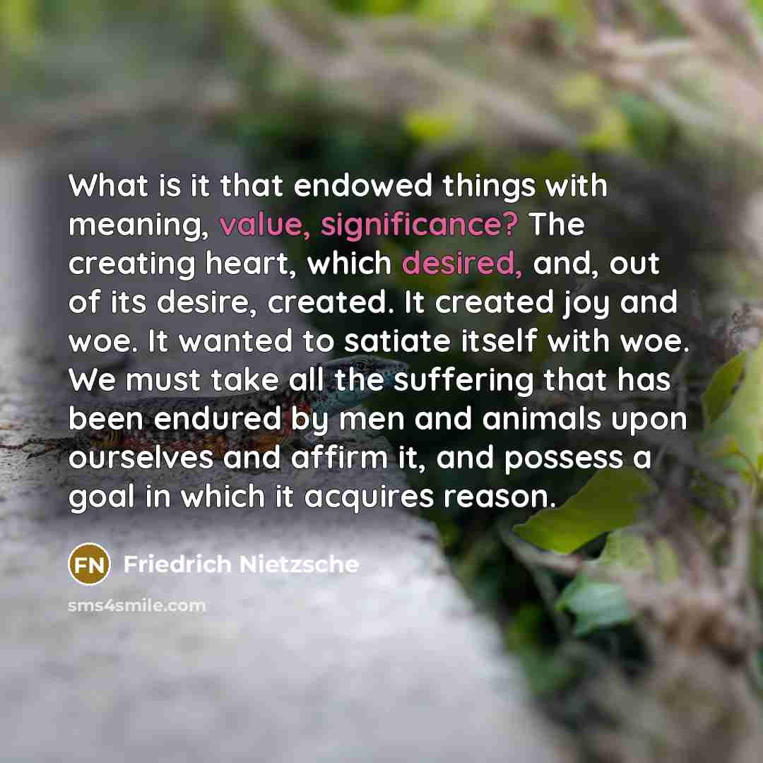 “What is it that endowed things with meaning, value, significance? The creating heart, which desired, and, out of its desire, created. It created joy and woe. It wanted to satiate itself with woe. We must take all the suffering that has been endured by men and animals upon ourselves and affirm it…” quote by Friedrich Nietzsche