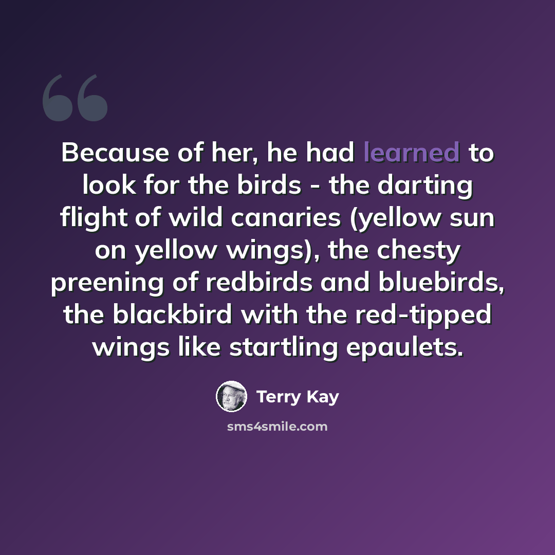 “Because of her, he had learned to look for the birds - the darting flight of wild canaries (yellow sun on yellow wings), the chesty preening of redbirds and bluebirds, the blackbird with the red-tipped wings like startling epaulets.” quote by Terry Kay